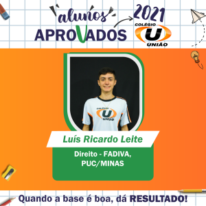feed aprovados LUIS RICARDO LEITE-01
